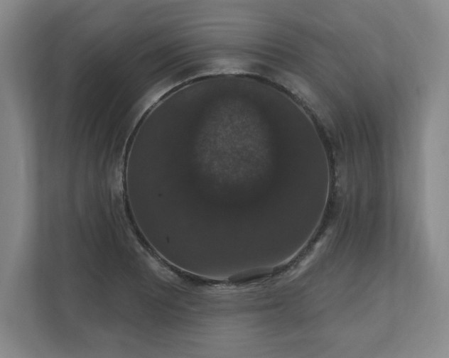X0000110701081200906191523