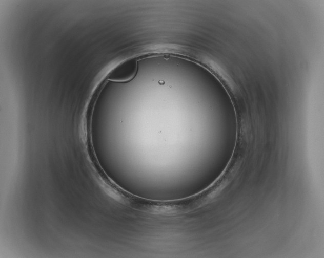 X0000110701082200906191523