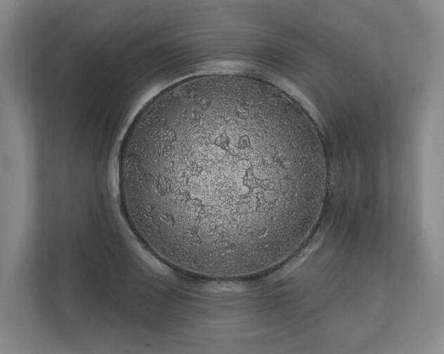 X0000110701083200906191522