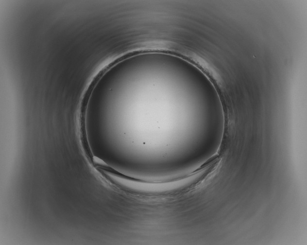 X0000110701085200906191522