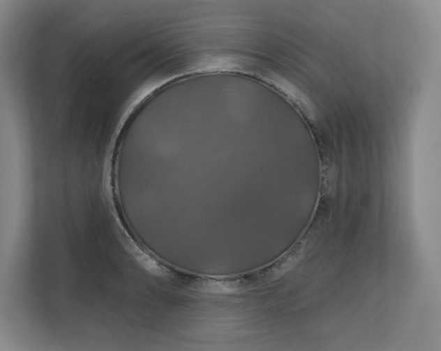 X0000110701086200906191522
