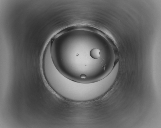 X0000110701088200906191522