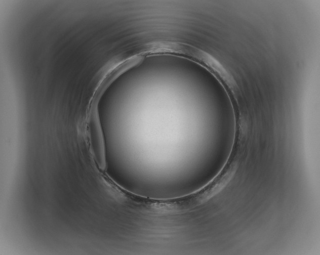 X0000110701089200906191522