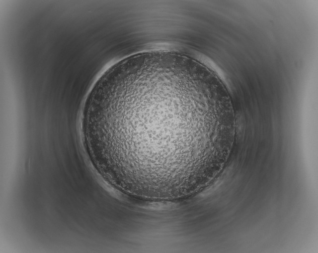X0000110701091200906191522