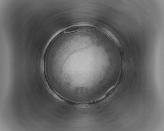 X0000110701092200906191522