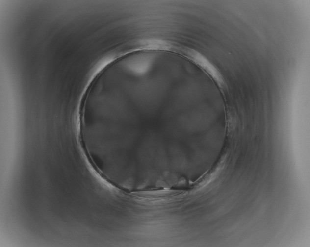 X0000110701095200906191522
