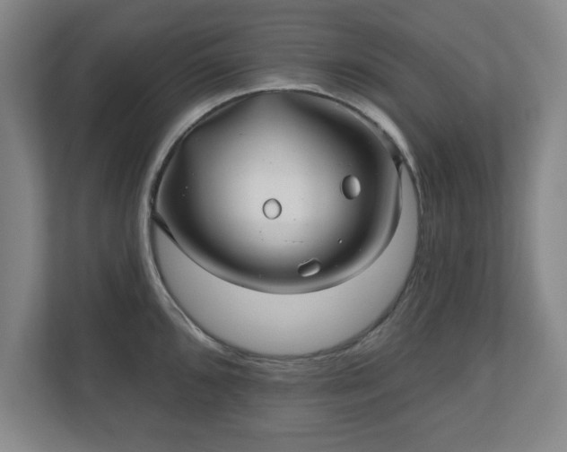X0000110701096200906191522