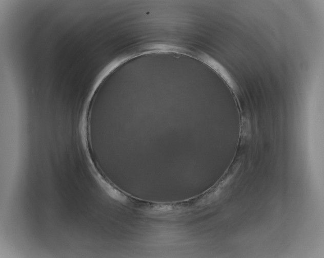 X0000110701098200906191522