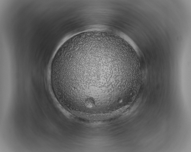 X0000110701099200906191522