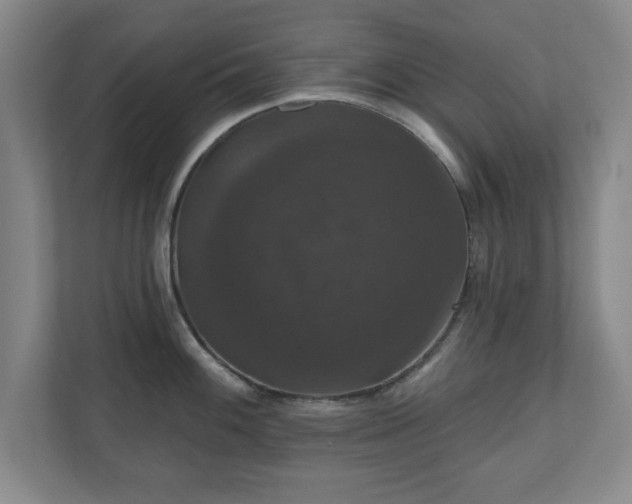 X0000110701100200906191522