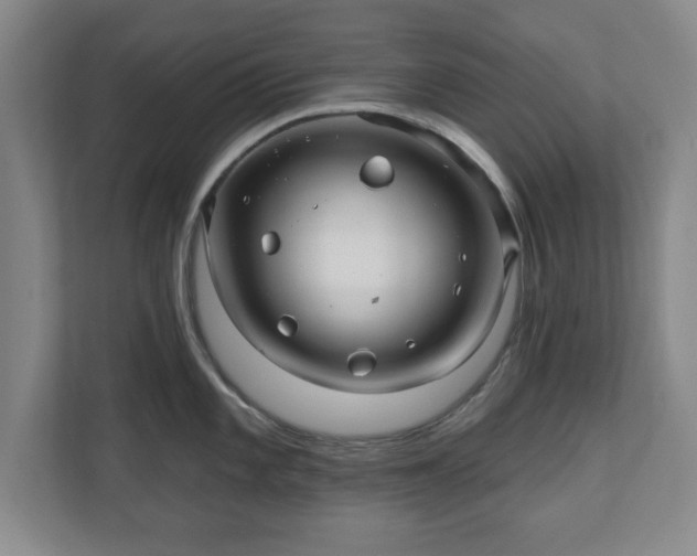 X0000110701101200906191522