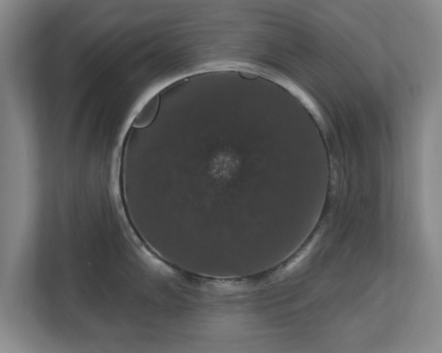 X0000110701102200906191522