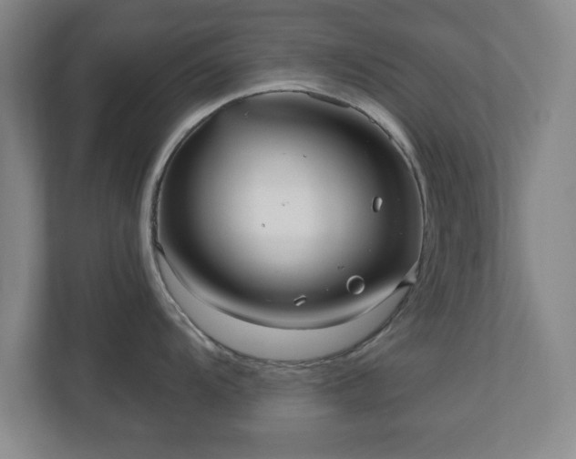 X0000110701104200906191522