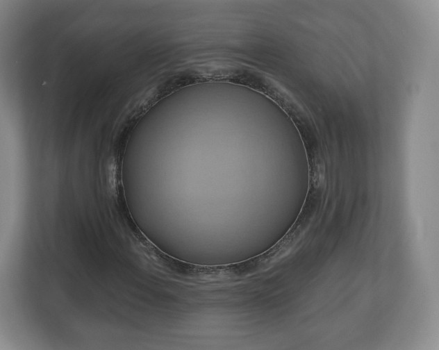 X0000110701108200906191522