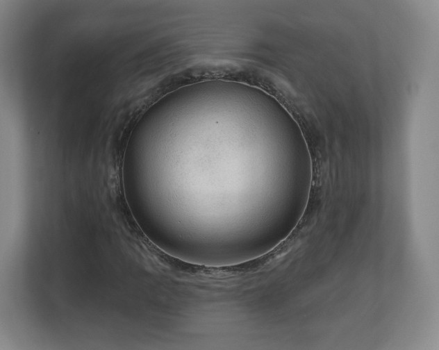 X0000110701109200906191522