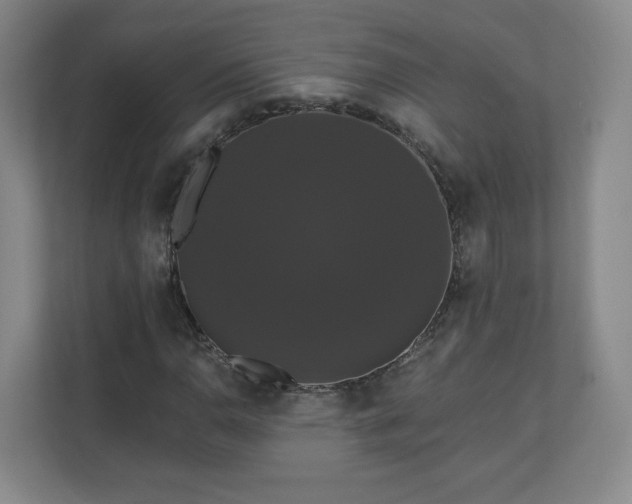 X0000110701110200906191522