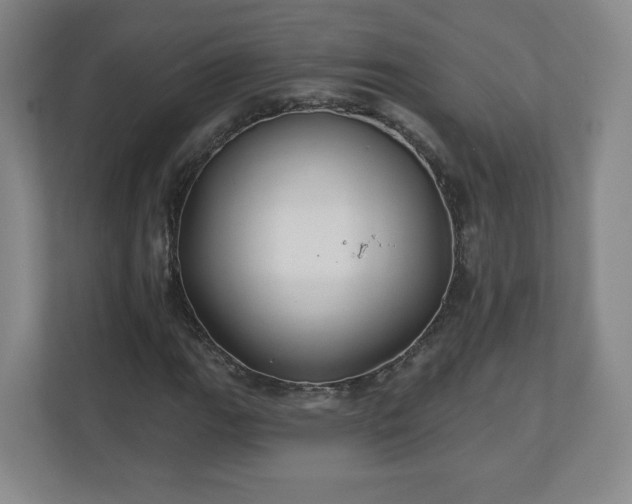 X0000110701111200906191522
