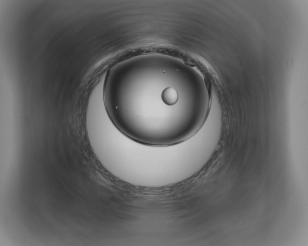 X0000110701112200906191522