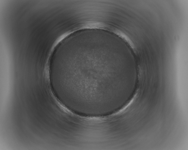 X0000110701114200906191522
