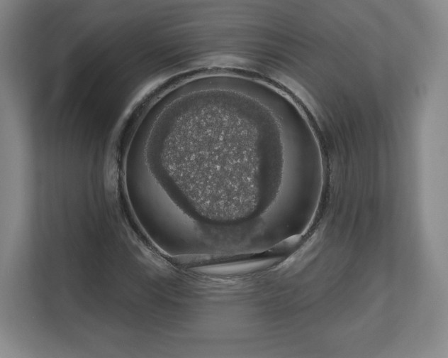 X0000110701115200906191522