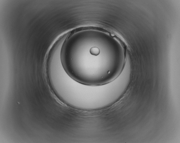 X0000110701116200906191522