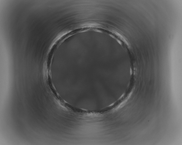 X0000110701117200906191522