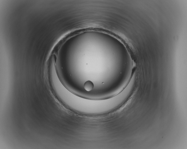 X0000110701118200906191522