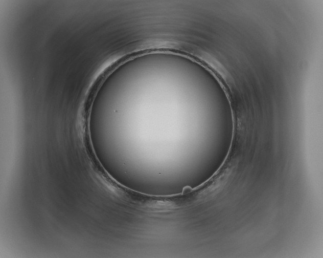 X0000110701119200906191522