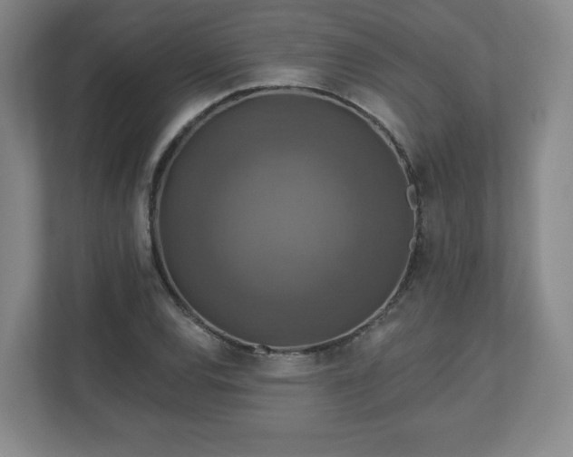 X0000110701120200906191522