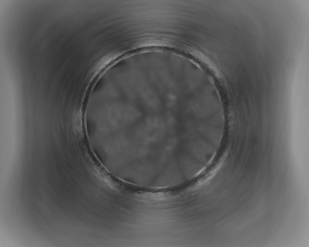 X0000110701121200906191522