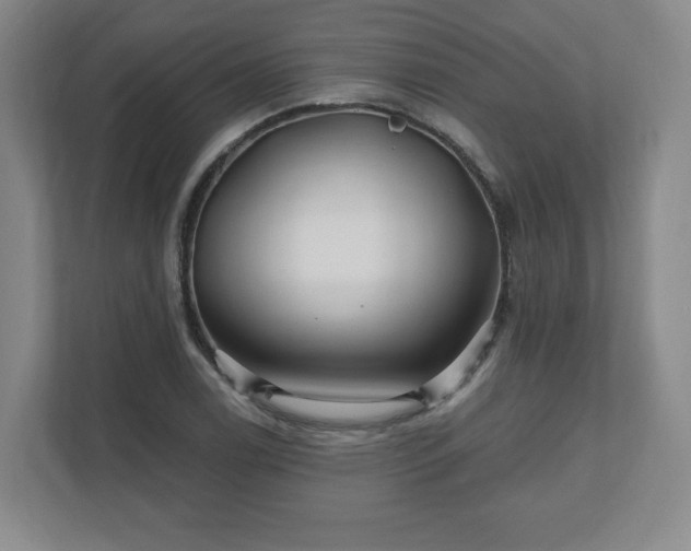 X0000110701122200906191522