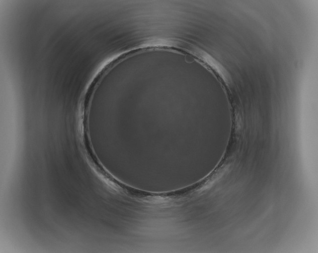 X0000110701124200906191522