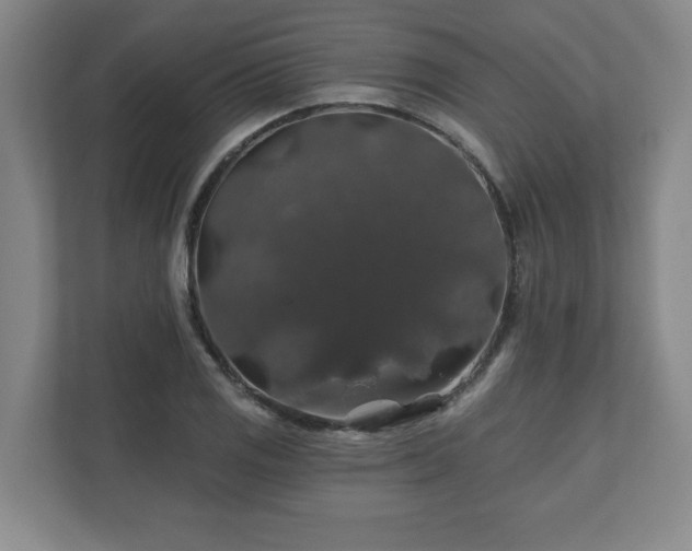 X0000110701125200906191522