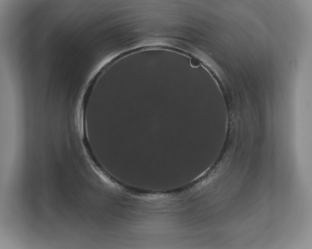 X0000110701127200906191522