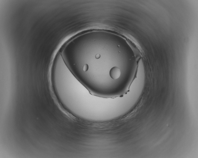 X0000110701128200906191522
