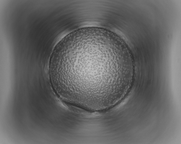 X0000110701129200906191522