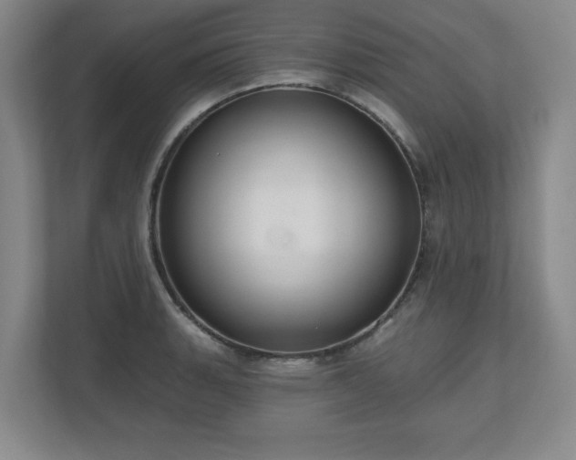 X0000110701135200906191522