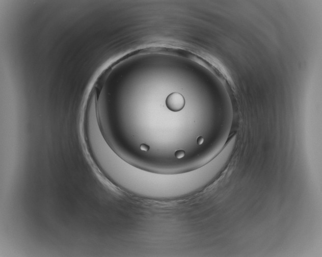X0000110701136200906191522