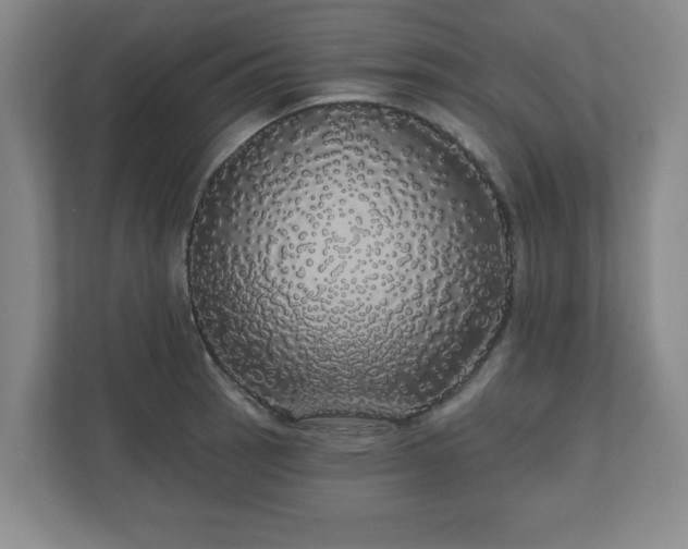 X0000110701137200906191522