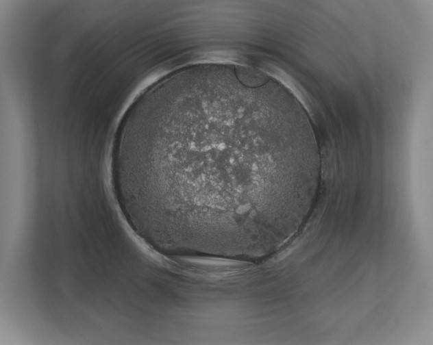 X0000110701139200906191522