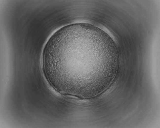 X0000110701140200906191522