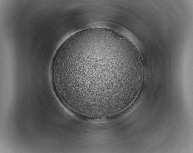 X0000110701141200906191522