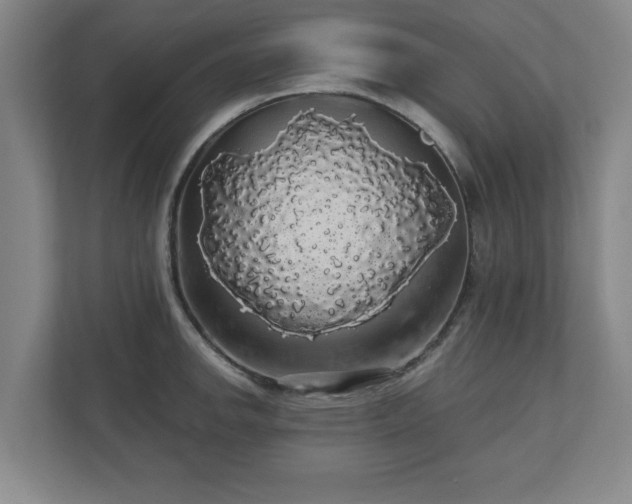 X0000110701142200906191522