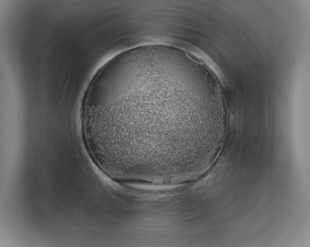 X0000110701143200906191522