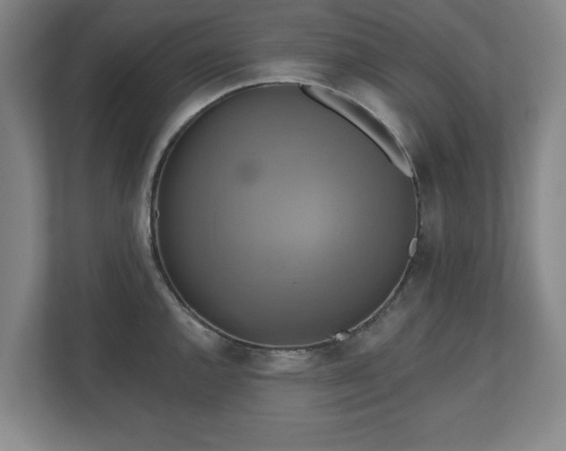 X0000110701144200906191522