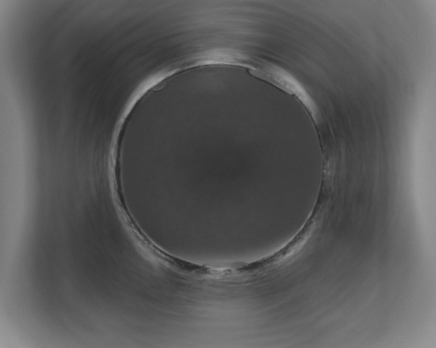X0000110701146200906191522