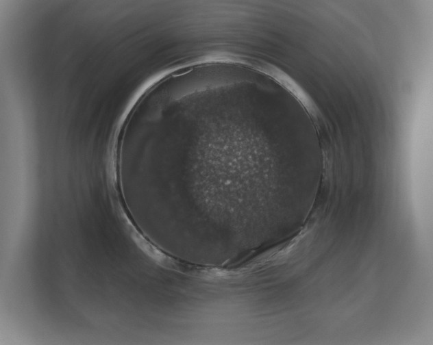 X0000110701148200906191522