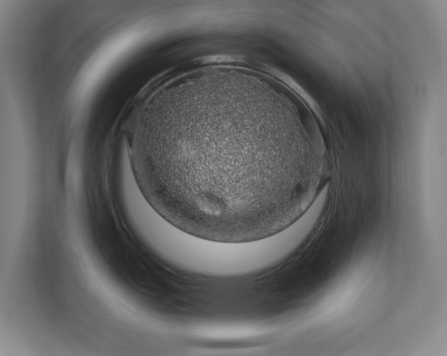 X0000110701151200906191522