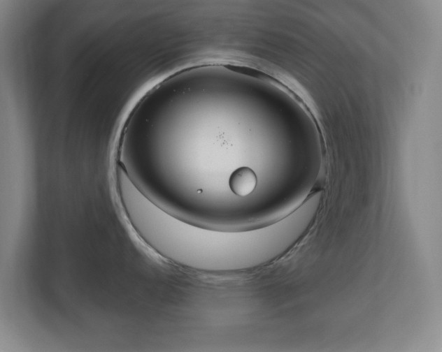 X0000110701152200906191522