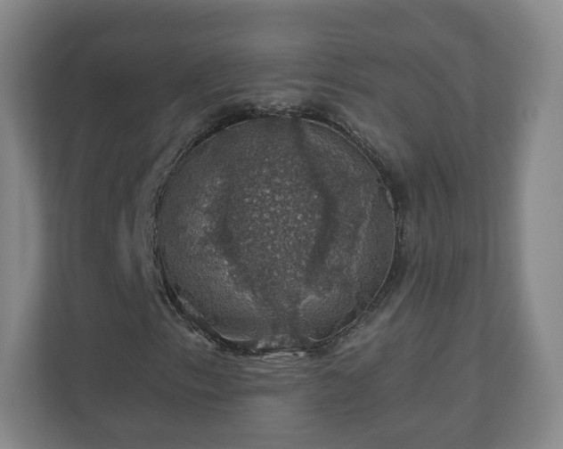 X0000110701153200906191522